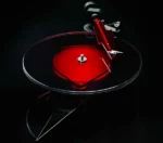 Pro-ject AC/DC Édition limitée – Image 8